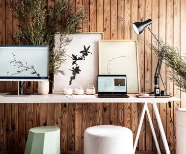 The must-have item these Kiwi creatives have on their desks