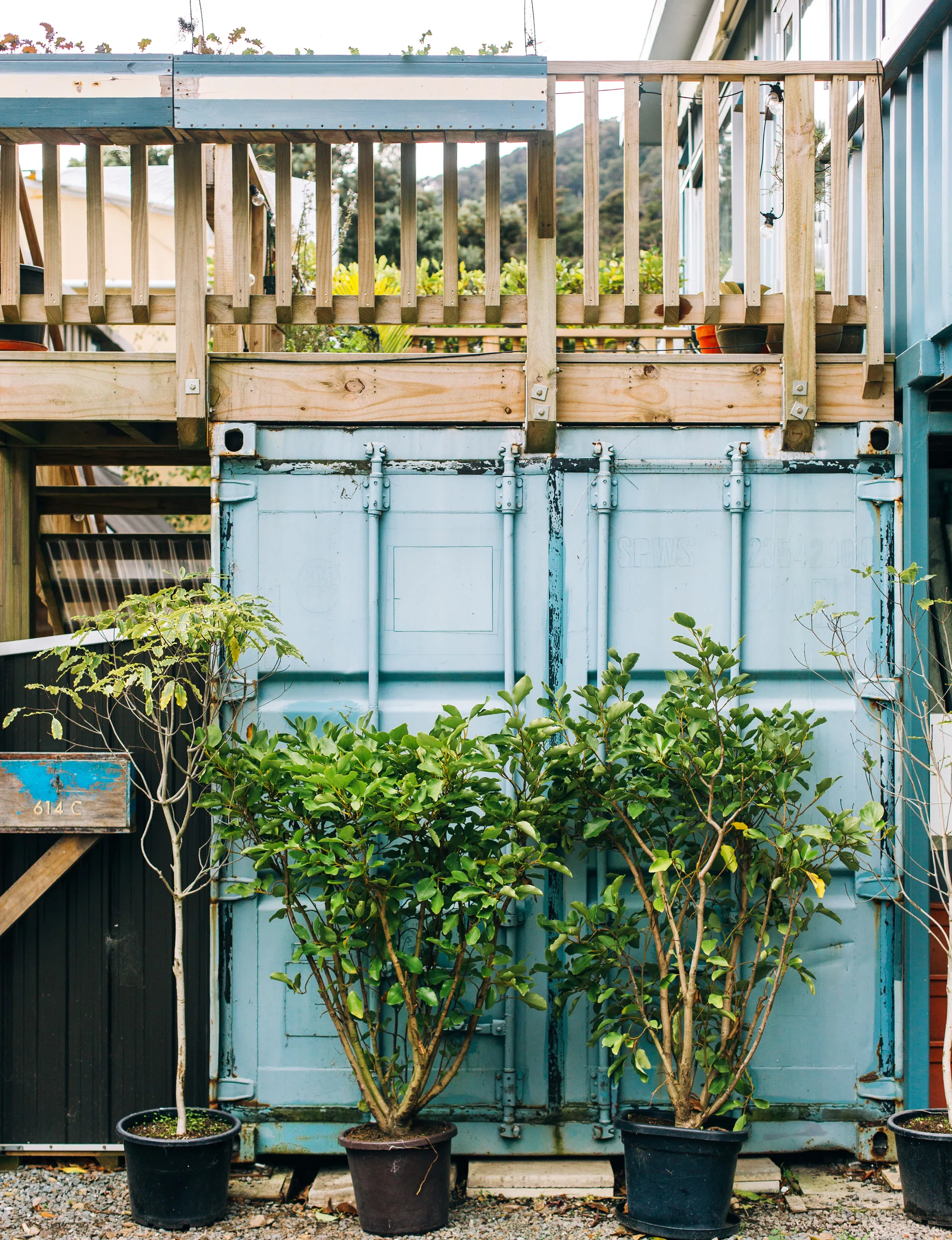 The back of the shipping container home with potted veggie plants