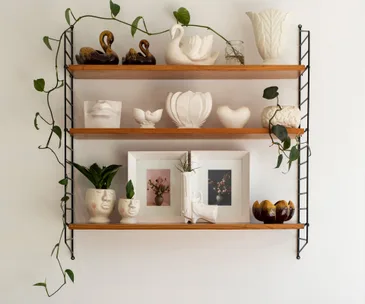 Op-shop experts reveal the best second-hand stores in the South Island