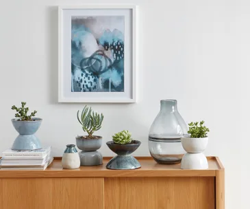 This ceramic bowl hack will transform your indoor plants