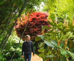 A once gorse-covered garden is now home to a horde of rare, lush plants