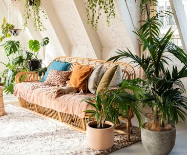 5 surprising home trends Pinterest predicts we’ll see in 2020