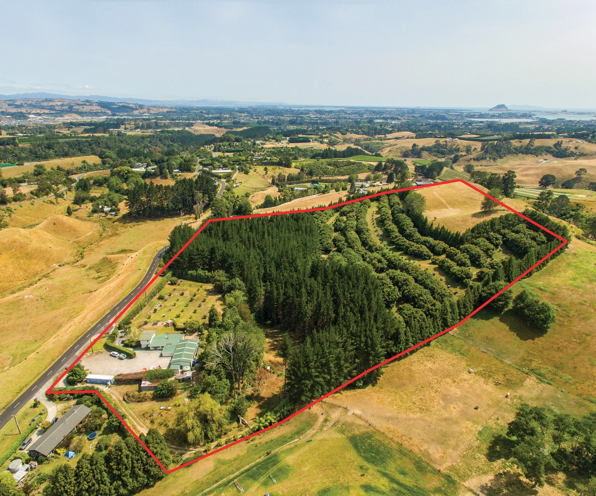 This 7.8ha property comes with its own paintball business and pine forest