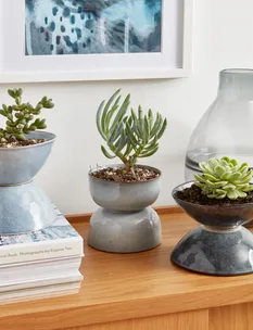 5 soothing garden tasks to keep you busy when you’re at home