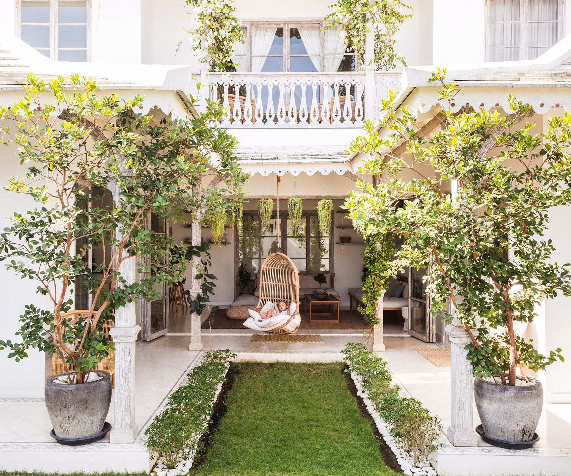 5 essential things you need to know when caring for pot plants