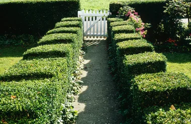 Here’s what you should be doing in your garden this Autumn