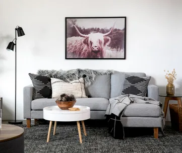 3 fun ways to style your living room like a pro
