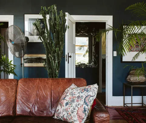 Living room with brown leather couch, floral pillow, tall cactus, fan, and decorative artwork on dark walls.
