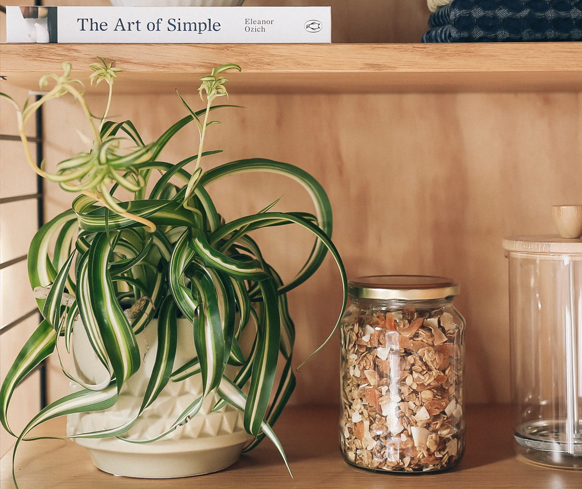 A spider plant in a pot beside a jar of dried food and a book titled "The Art of Simple" on a wooden shelf.