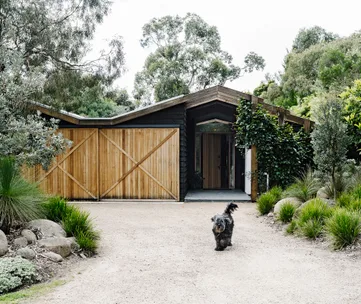 Secluded house with wooden doors and lush greenery, a dog walks on the driveway.