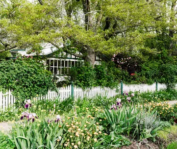 These 5 landscape design tips will help you get the best out of your garden