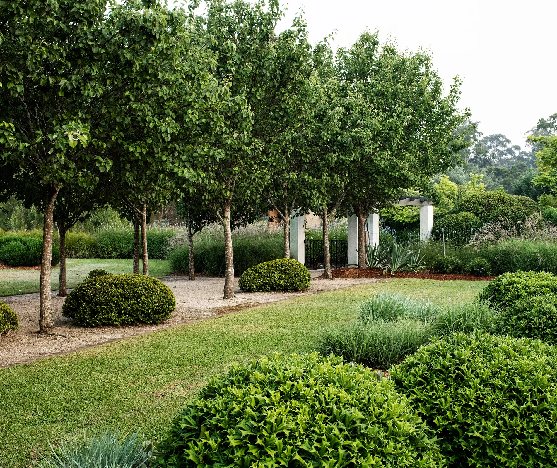 5 golden rules landscaping