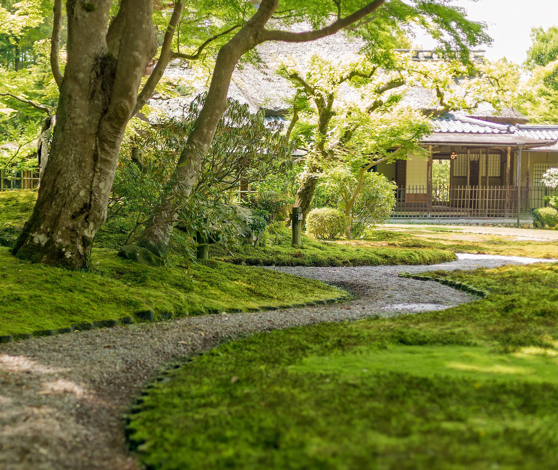 A serene Japanese garden with a gravel path winding through lush greenery and trees, leading to a traditional wooden house.