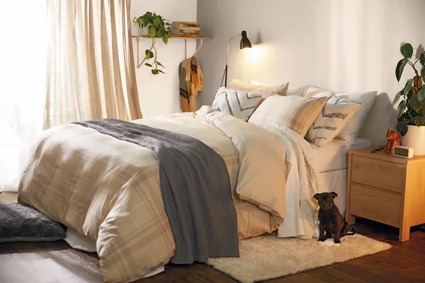 Cozy bedroom with neatly made bed, pillows, bedside table, lamp, plants, and a small dog sitting on a rug.