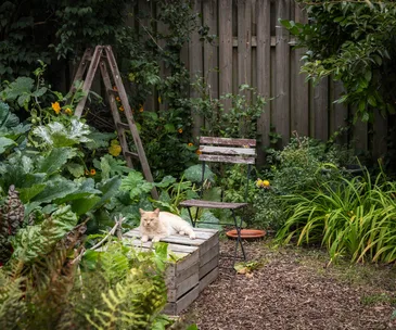 Gardening expert Mary Lovell-Smith shares what you can get done in the garden this month