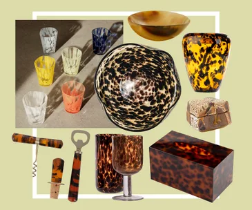 Assorted tortoiseshell-patterned glassware and accessories on a light green background.
