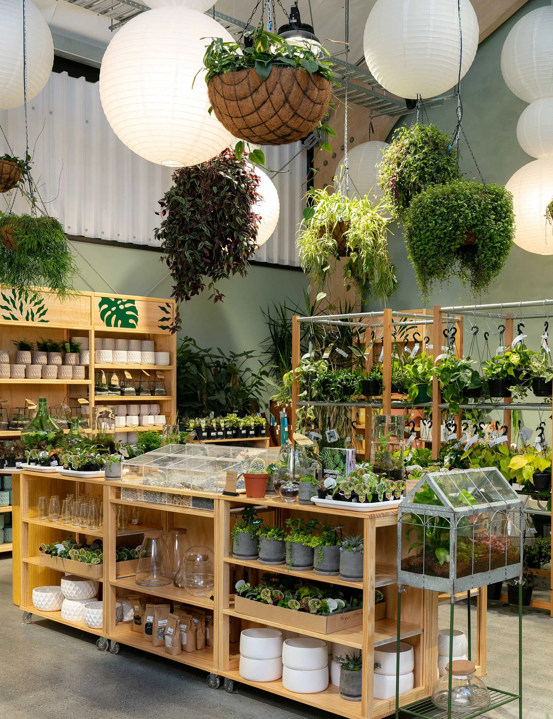 Plant store interior with hanging planters and shelves filled with various potted plants and terrariums.