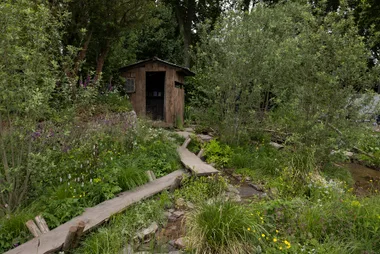 Rustic wooden shed surrounded by lush greenery and wildflowers with a narrow path leading through the garden.