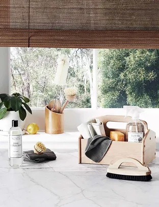 Kitchen counter with cleaning supplies, wooden caddy, brushes, dish detergent, and a potted plant by a window.