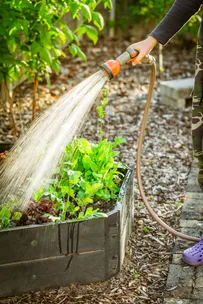 9 tips for conserving water in the garden