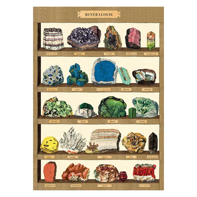 Illustration of various minerals labeled on wooden shelves, featuring amethyst, malachite, tourmaline, and more.