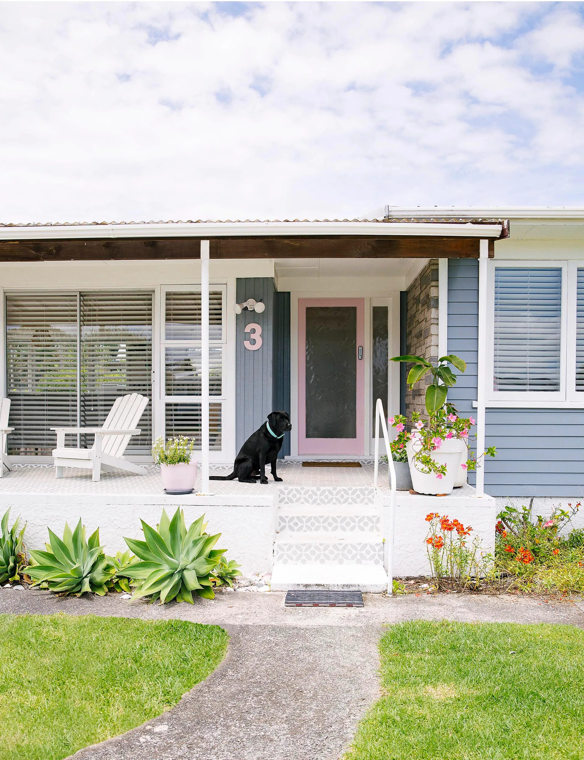 A blue house with a pink door, number 3, a black dog on the porch, and plants in the garden.