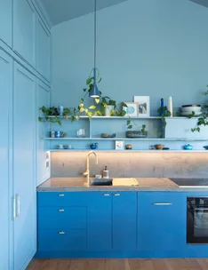 Blue kitchen with concrete countertops, gold faucet, hanging light, and greenery on shelves. Modern and clean design.