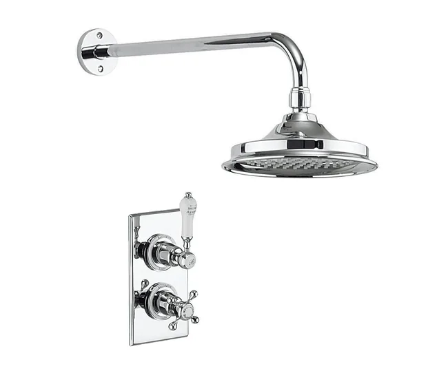 Chrome showerhead and valve with levers on a plain background.