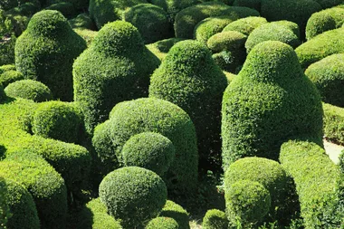It’s time to get planting for spring harvesting