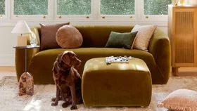 How to choose a couch that works for your home