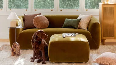 How to choose a couch that works for your home