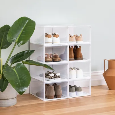 Clear shoe organizer with various shoes near a large potted plant on a wooden floor.