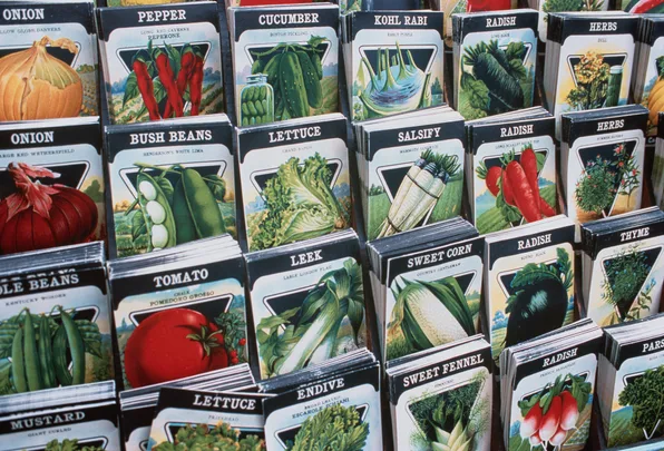 Packets of various vegetable seeds, including onion, tomato, lettuce, and radish, displayed in an organized manner.