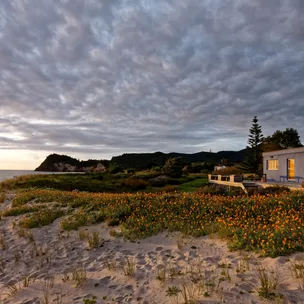 Coastal landscape at sunset, with orange flowers, sandy beach, and a house on the right under a cloudy sky.