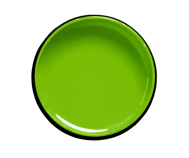 A bright green circular plate with a glossy finish and a contrasting black rim.