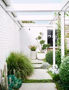 Pot luck: an easy guide to container planting