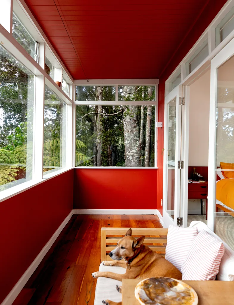 Dog resting on a wooden bench on a balcony with red walls, overlooking a forest view.