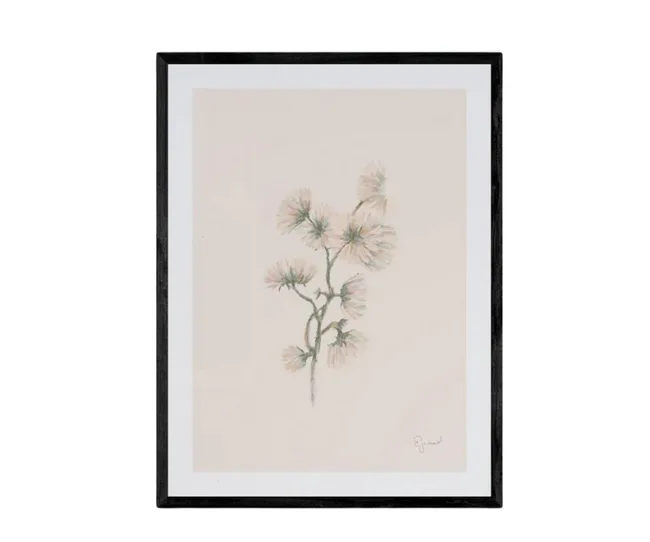 Framed minimalist floral illustration of delicate light pink flowers on a pale background.