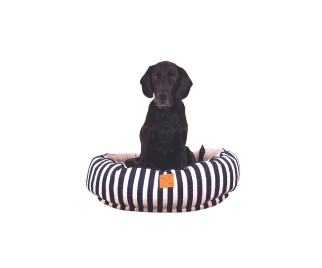 Black dog sitting in a striped bed against a plain white background.