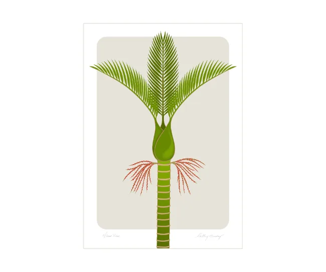 Stylized illustration of a green palm tree with detailed fronds on a beige background.