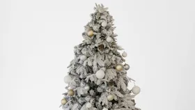 Expert advice: How to keep your Christmas tree fresh for longer