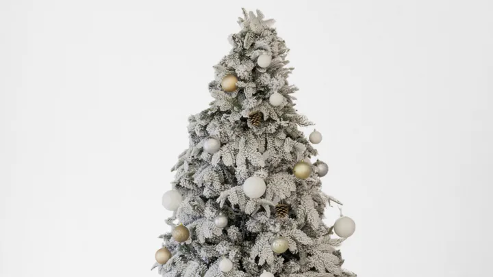 Expert advice: How to keep your Christmas tree fresh for longer