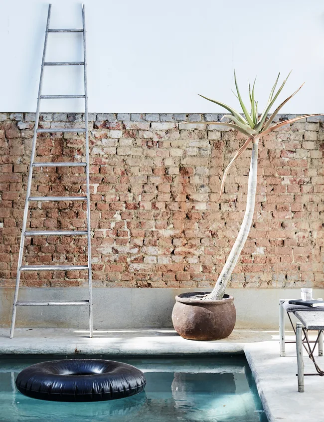 Ladder against a brick wall, potted plant nearby, inflatable tube in pool, and a small table with items on a sunny day.