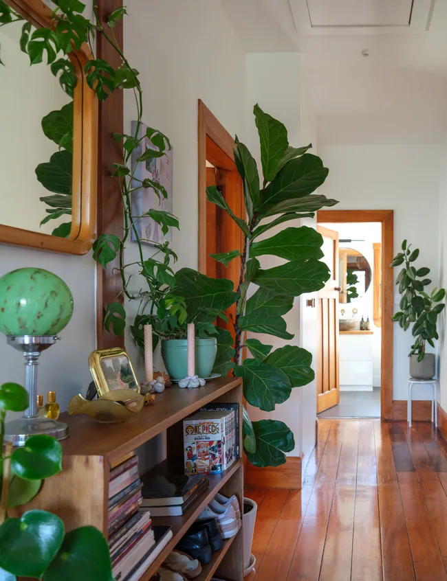 Warm hallway with wooden floor, potted plants, bookshelf with books and a One Piece manga, leading to an open-door room.