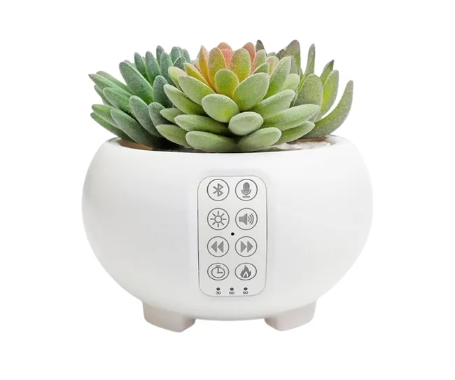 A round nursery decor night light pot holding a cactus
