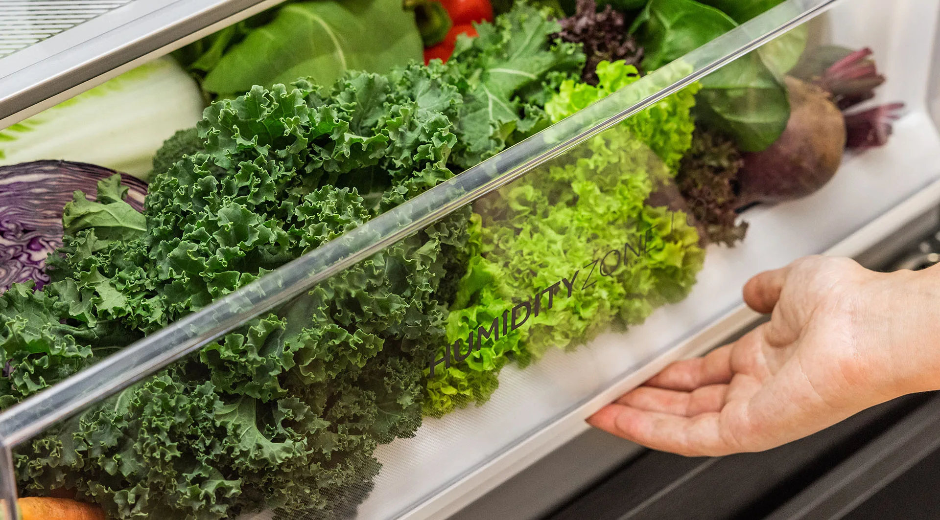 Vegetables in the Humidity Zone of Haier fridge