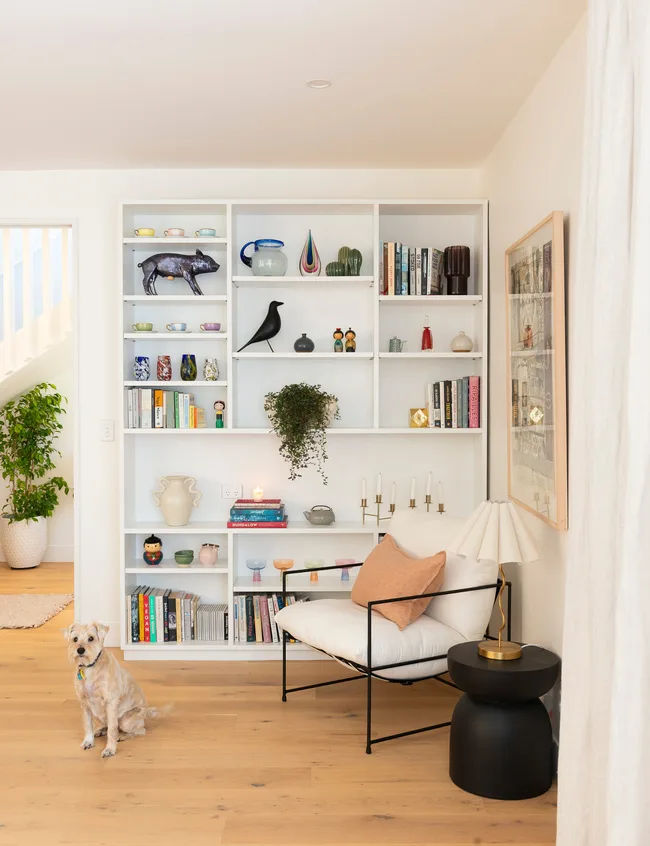 Cozy living room with a dog, bookcase, decorative items, a chair with a pillow, and a side table with a lamp.