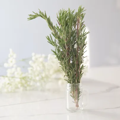 Sprigs of rosemary in a clear glass jar on a marble surface, with blurred white flowers in the background.