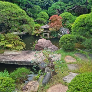 How to introduce Japanese minimalism into your garden