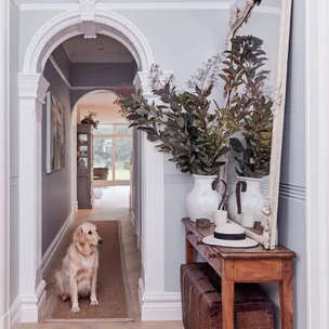 Golden retriever sitting in a hallway with an archway, potted plants, and a mirror reflecting the scene.